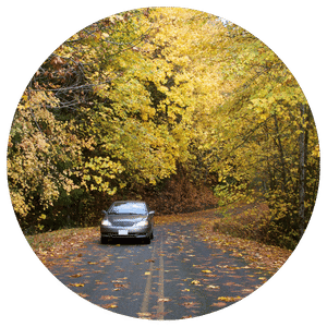 car driving on road near trees with yellow leaves